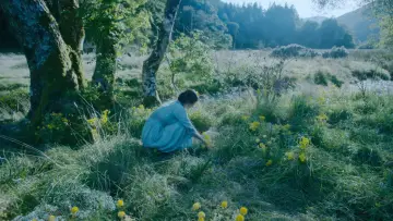 Zasłona do filmu "Kochanek Lady Chatterley" #1255961