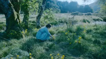 Zasłona do filmu "Kochanek Lady Chatterley" #839953