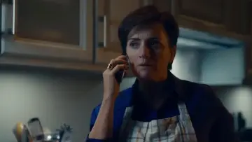 Zasłona do filmu "Szkodnicy" #313239