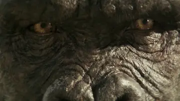 Zasłona do filmu "Godzilla i Kong: Nowe imperium" #565537