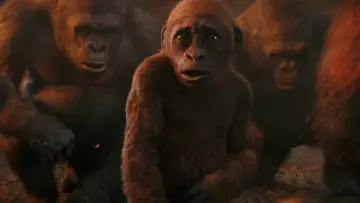 Zasłona do filmu "Godzilla i Kong: Nowe imperium" #747253