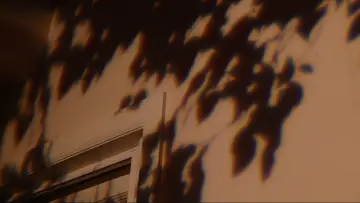 Zasłona do filmu "Bo Burnham: Inside" #1648240
