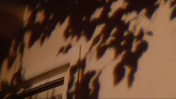 Zasłona do filmu "Bo Burnham: Inside" #750520