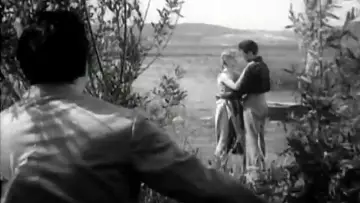 Zasłona do filmu "Cani e gatti" #1620774
