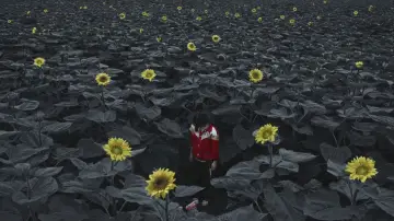 Zasłona do filmu "朝云暮雨" #686678