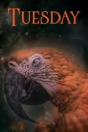 Plakat do filmu "Tuesday" #532823