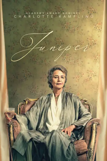 Plakat do filmu "Nestorka" #1017037