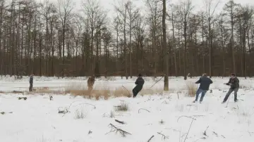 Zasłona do filmu "IJswee" #1578011