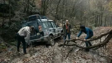Zasłona do filmu "Întregalde" #743429