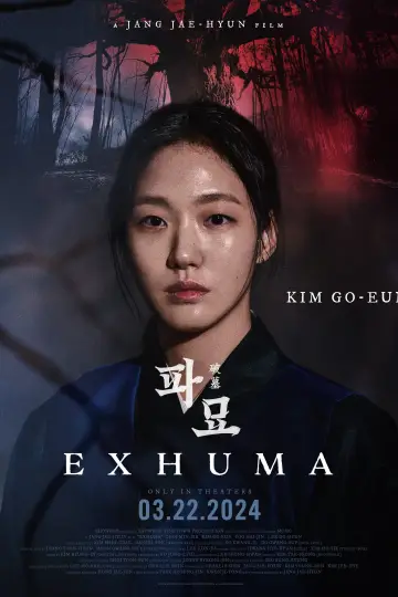 Plakat do filmu "Ekshumacja" #588868