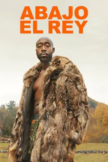 Plakat do filmu "Król nie żyje" #1857528