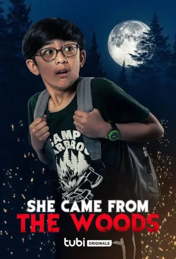 Plakat do filmu "Kobieta z lasu" #156957