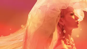 Zasłona do filmu "梅艷芳" #1851798