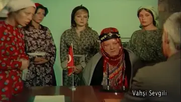Zasłona do filmu "Vahşi Sevgili" #1173754