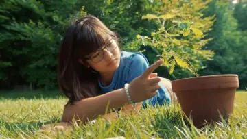 Zasłona do filmu "Mabel" #798744