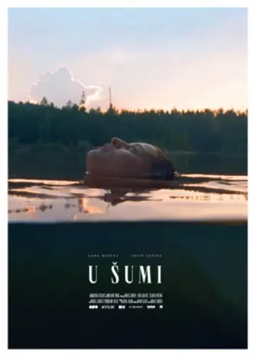 Plakat do filmu "U šumi" #1194633