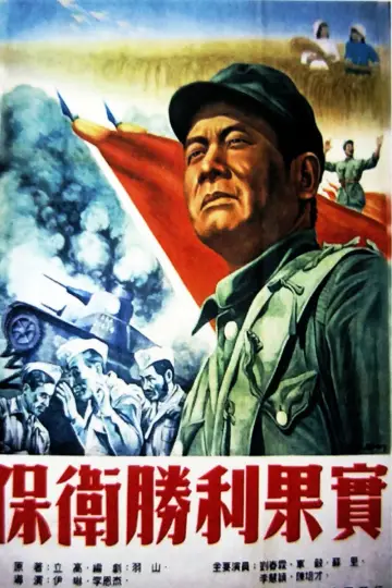 保卫胜利果实 plakat