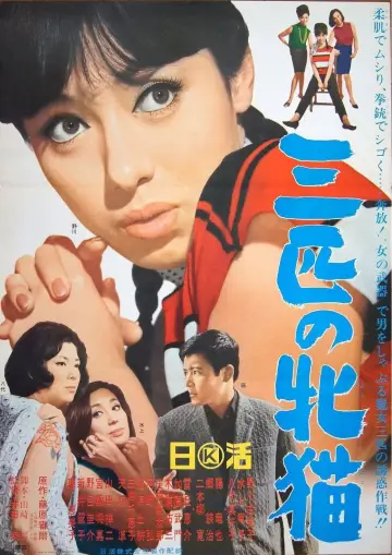 三匹の牝猫 plakat