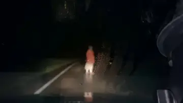 Zasłona do filmu "Dashcam" #407025