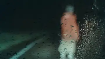 Zasłona do filmu "Dashcam" #407026