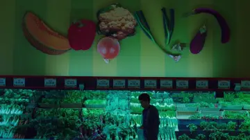 Zasłona do filmu "W blasku ekranu" #916085