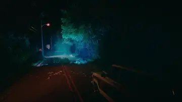 Zasłona do filmu "W blasku ekranu" #916116