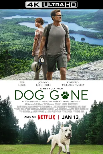 Plakat do filmu "Zaginiony pies" #384473