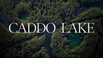 Zasłona do filmu "Caddo Lake" #596375
