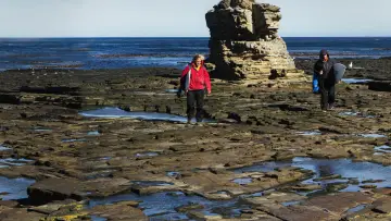 Zasłona do filmu "La Ola sin Fronteras: Una expedición al Atlántico Sur" #1201130