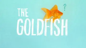 Zasłona do filmu "The Goldfish" #1573213