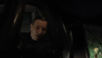 Zasłona do filmu "Dobry ogrodnik" #1011896