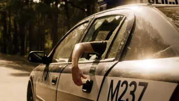 Zasłona do filmu "W lesie dziś nie zaśnie nikt II" #438855