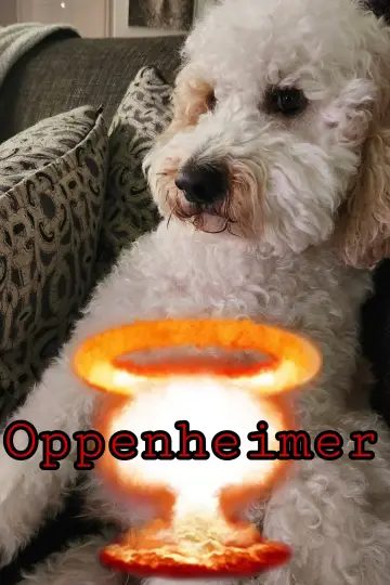 Plakat do filmu "Oppenheimer" #959212