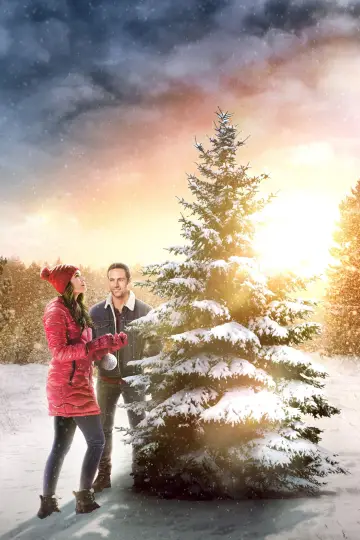 Plakat do filmu "The Christmas Promise" #404274