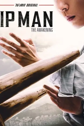 Plakat do filmu "叶问宗师觉醒" #40072