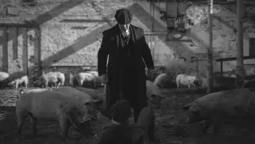 Zasłona do filmu "Peaky Blinders: Nieśmiertelny" #1197692