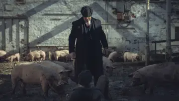 Zasłona do filmu "Peaky Blinders: Nieśmiertelny" #759654
