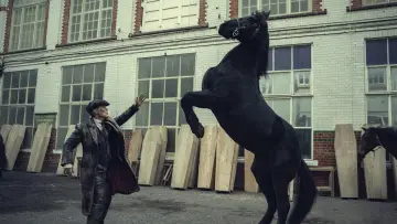Zasłona do filmu "Peaky Blinders: Nieśmiertelny" #759658