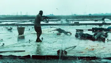 Zasłona do filmu "维和防暴队" #502819