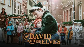 Zasłona do filmu "Dawid i elfy" #1095714
