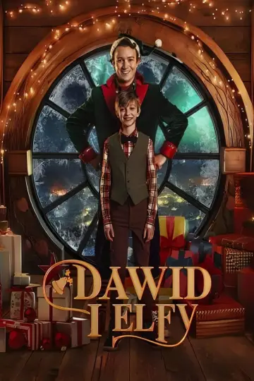 Plakat do filmu "Dawid i elfy" #455538