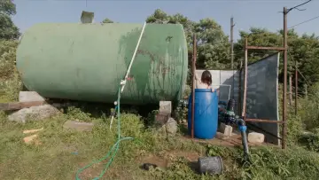 Zasłona do filmu "ლურჯი მოცვი" #1015651