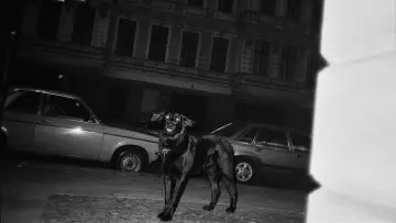 Zasłona do filmu "Ještě nejsem, kým chci být" #1015757