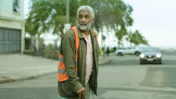 Zasłona do filmu "Togo" #355996