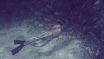 Zasłona do filmu "Saved From The Waters" #1432830