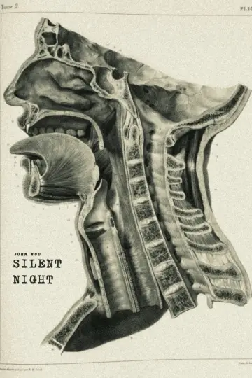 Plakat do filmu "Wśród nocnej ciszy" #193327