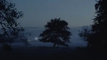 Zasłona do filmu "Czasem myślę o umieraniu" #760509