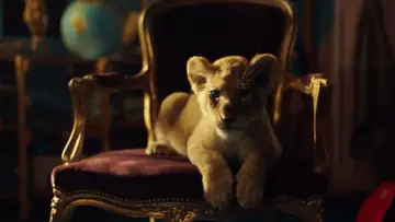 Zasłona do filmu "King: Mój przyjaciel lew" #336693