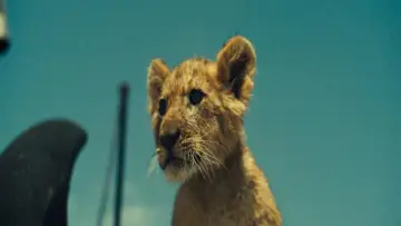 Zasłona do filmu "King: Mój przyjaciel lew" #336695