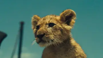 Zasłona do filmu "King: Mój przyjaciel lew" #336696
